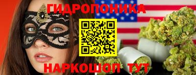 ALPHA PVP Кандалакша