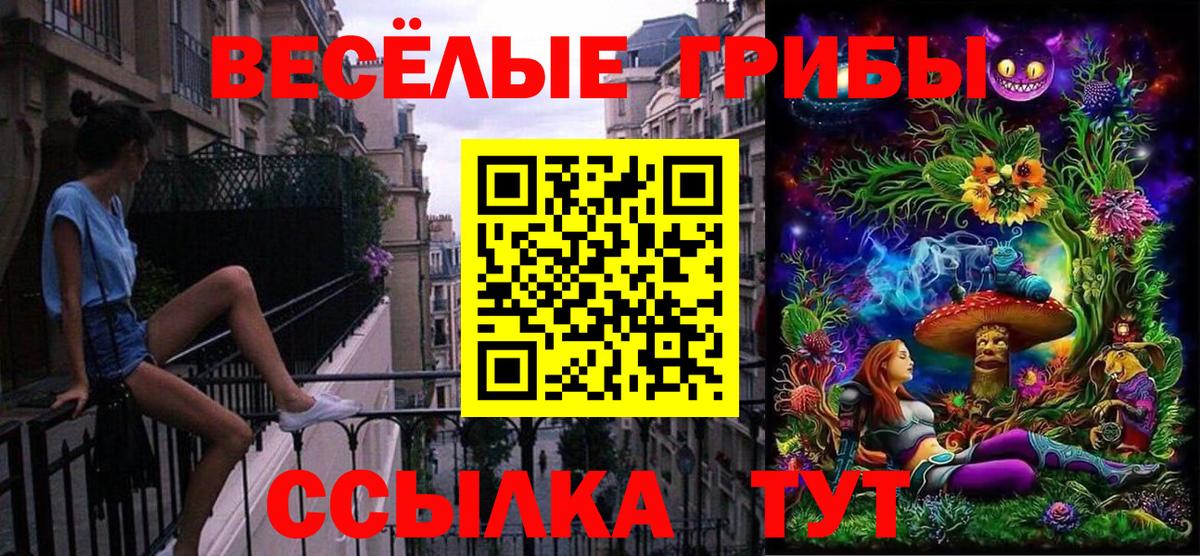 Псилоцибиновые грибы MAGIC MUSHROOMS  Псилоцибиновые грибы мухоморы  Керчь  Вход с VPN 