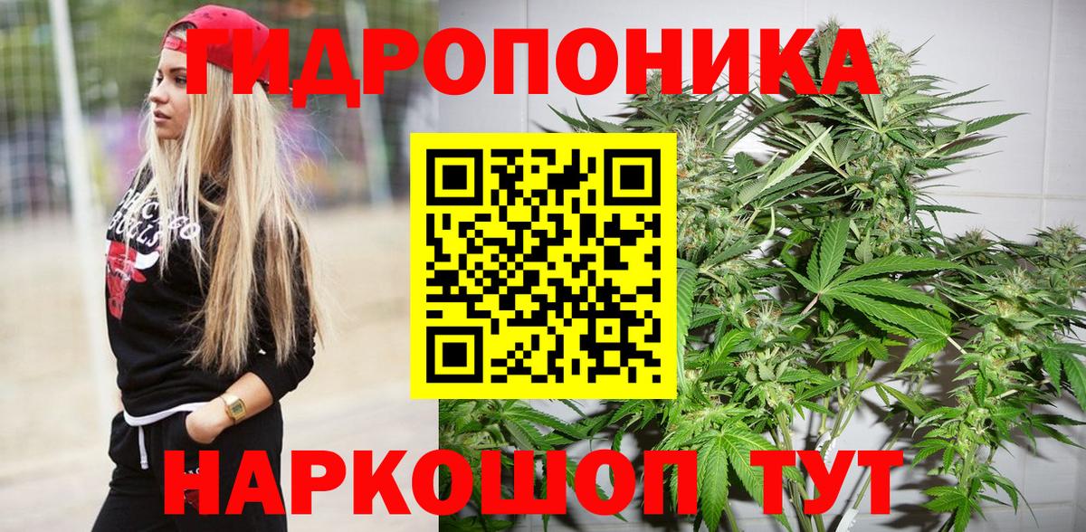 Бошки марихуана VHQ Керчь